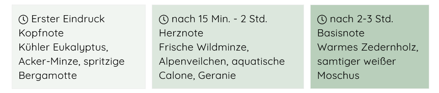 "Balance & Loslassen" – Belebende Eukalyptus & Minze | 70h Brenndauer