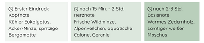 "Balance & Loslassen" – Belebende Eukalyptus & Minze | 70h Brenndauer